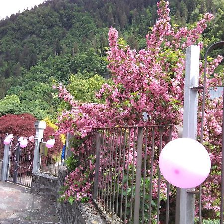 Casa Per Ferie Paola Di Rosa Hotel Arta Terme Eksteriør billede
