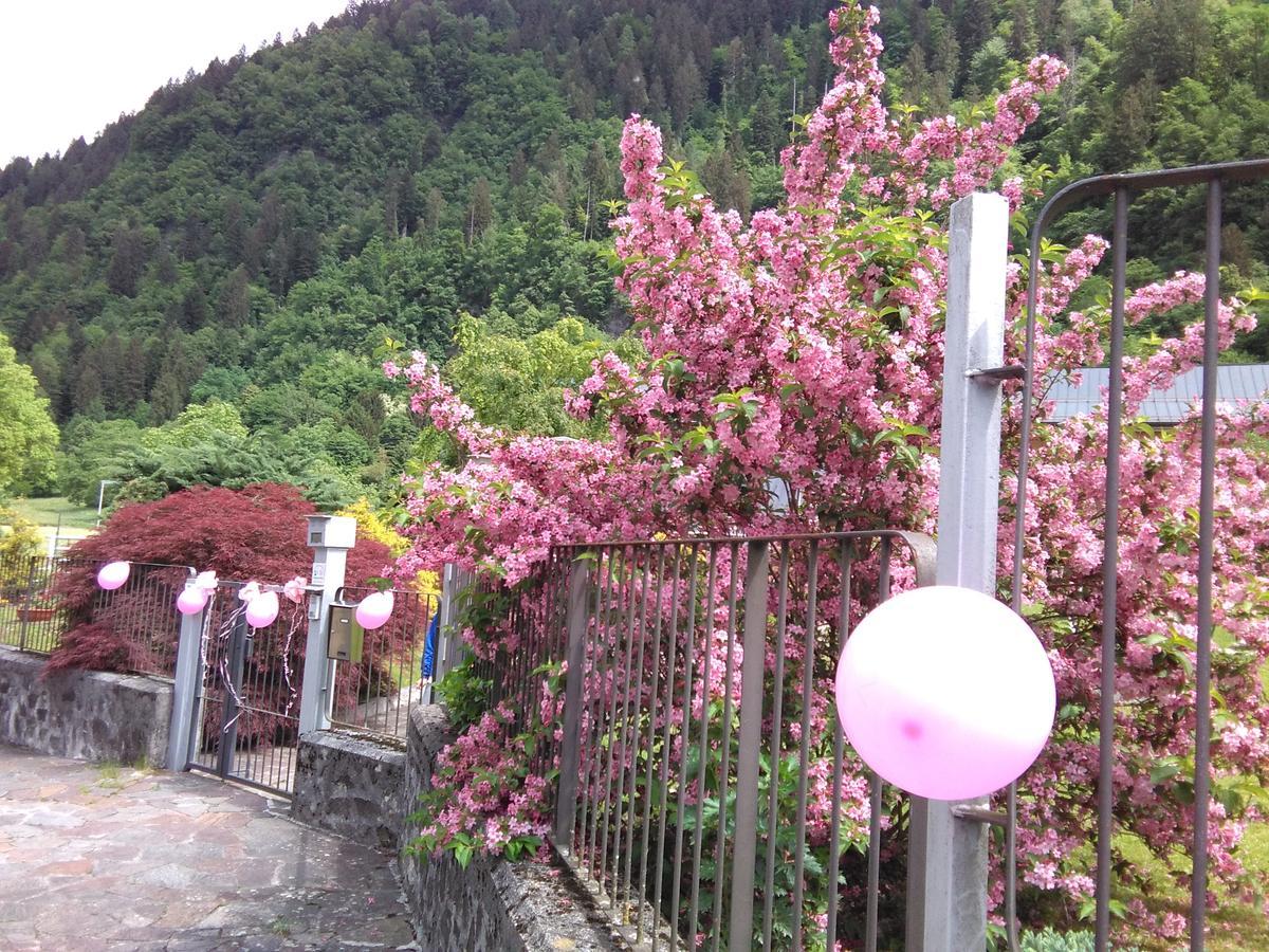 Casa Per Ferie Paola Di Rosa Hotel Arta Terme Eksteriør billede